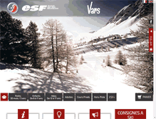 Tablet Screenshot of esf-vars.com